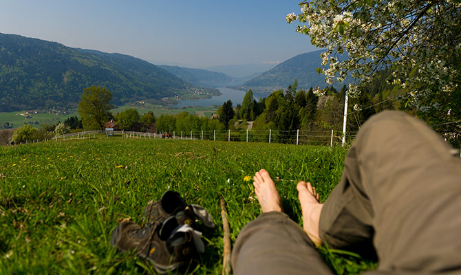 Ferienhaus Wunsch